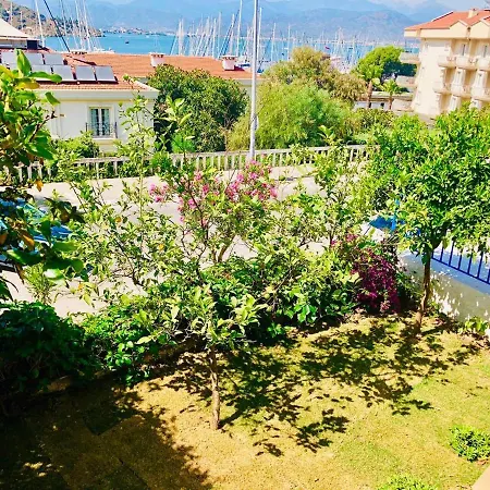 فيلة Deniz *